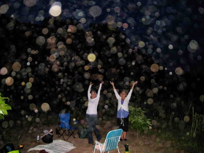 Orbs: Ενεργειακές Οντότητες ανάμεσα μας