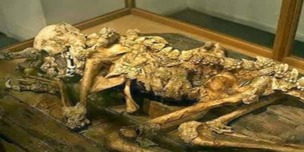 Τα Ερπετοειδή δεν είναι μύθος: Ανθρώπινος απολιθωμένος δράκος