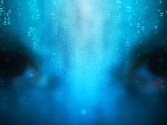 ΜΟΡΑ, ο νυχτερινός ΕΠΙΣΚΕΠΤΗΣ που ΤΡΟΜΟΚΡΑΤΕΙ μόρα