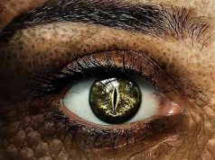 Η Αδελφότητα των Ερπετοειδών