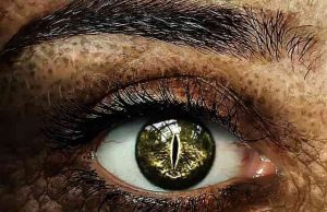 Η Αδελφότητα των Ερπετοειδών