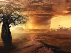 Η φυλή που είδε και μίλησε με όντα του Σείριου