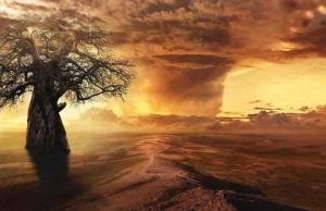 Η φυλή που είδε και μίλησε με όντα του Σείριου