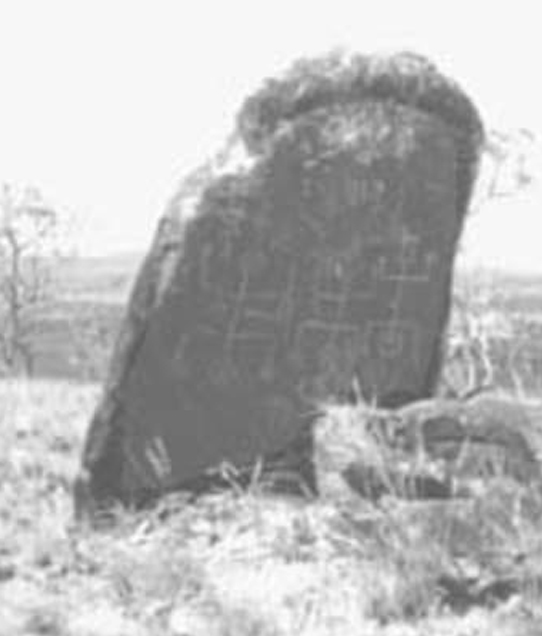 Βράχος γεμάτος με πετρογλυφικά ЭIЄ. Βρίσκεται στο Sipaliwini Savan-na στο Σουρινάμ