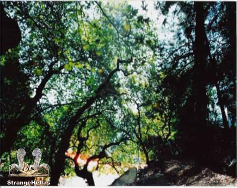 ΔΕΛΦΟΙ. Η ΙΕΡΗ ΓΗ: Ο Απόλλωνας Ζει Ακόμα Εδώ!!! Συγκλονιστικό Φωτογραφικό Υλικό!!!