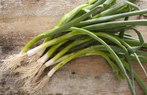 Πως να Καταψύξετε τα Φρέσκα Κρεμμύδια Μάτσο φρέσκα πράσινα κρεμμυδάκια