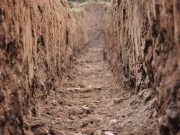 Έθαψαν τον τάφο του Σπαρτιάτη βασιλιά Μενέλαου