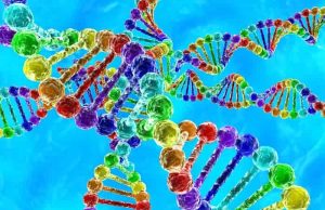 Η υπόθεση ότι ο Όμηρος υπονοεί γενετικά πειράματα και γνώση του DNA στο Νησί της Κίρκης Η υπόθεση ότι ο Όμηρος υπονοεί γενετικά πειράματα και γνώση του DNA στο Νησί της Κίρκης