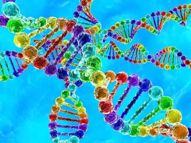 Η υπόθεση ότι ο Όμηρος υπονοεί γενετικά πειράματα και γνώση του DNA στο Νησί της Κίρκης