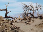 Όταν κάθε «ελληνικό» απειλούνταν με ποινή θανάτου Η κοιλάδα του θανάτου ως αντιπαραβολή με τον ελληνικό πολιτισμό