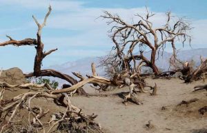 Όταν κάθε «ελληνικό» απειλούνταν με ποινή θανάτου Η κοιλάδα του θανάτου ως αντιπαραβολή με τον ελληνικό πολιτισμό