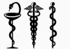 serpentsonaroddifferenttypes