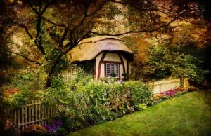 Το Ψεύτικο Σπίτι με τις Ζωντανές Αναμνήσεις ένα Σπίτι για τις Ζωντανές Αναμνήσεις