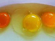 Ποιο Χρώμα Κρόκου Είναι Υγιές και Ωφέλιμο