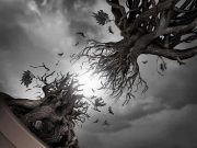 Το Ξύπνημα των Γιγάντων ξεριζωμένο δέντρο γιγάντων απελευθερώνεται στον ουρανό