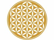 Λουλούδι της Ζωής. Μοτίβο Δημιουργίας στο Σύμπαν Λουλούδι της ζωής