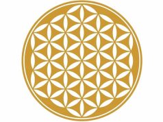 Λουλούδι της Ζωής. Μοτίβο Δημιουργίας στο Σύμπαν Λουλούδι της ζωής