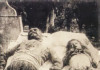 Smyrna-vict-elder-child-massacre-1922