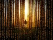 Ιπποκράτης Δάκογλου: «Έσπασε» τον Κώδικα του Πυθαγόρα