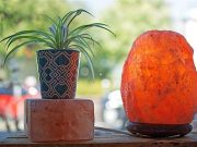 Λάμπες Αλατιού Ιμαλαΐων. Τι μπορούν να κάνουν για σένα και το σπίτι Φυτό και μία λάμπα αλατιού