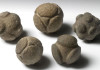 2carved-stones-museum-ashmolean