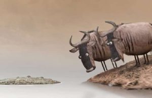 Γιατί δεν πρέπει να διαφωνούμε με έναν ηλίθιο