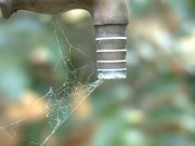 Η ελληνική εφεύρεση που λύνει το παγκόσμιο πρόβλημα λειψυδρίας, όπως υπόσχεται, αλλά δεν προωθήθηκε