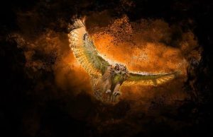 Η συνείδηση πάει σε άλλο σύμπαν μετά το θάνατο;