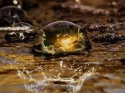 Πέταρ Ντένωφ. Η Προφητεία για τον ερχομό της 6ης Φυλής, της Νέας Χρυσής Εποχής