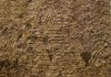 herc-18-petroglyph-lake-superior-min