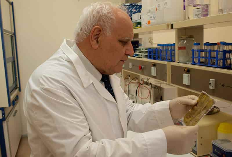 Ο γενετιστής Κ. Τριανταφυλλίδης