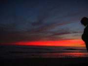 Τεχνητή Γονιμοποίηση στην Αρχαία Ελλάδα Τεχνητή Γονιμοποίηση στην Αρχαία Ελλάδα; Ενδείξεις σε μύθο υποδηλώνουν ότι θα μπορούσε να ήταν μία πραγματικότητα