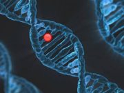 Επιστήμονες: Αναπαράγουμε Μη Ανθρώπινο ιό στο DNA μας