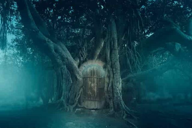 Πόρτα σε κουφάλα τεράστιου δέντρου όπου κρύβεται ο Καθρέφτης που Αντανακλά τα Αόρατα Όνειρα
