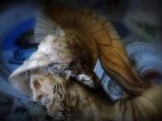 Σωκράτης. Τι ΔΕΝ Επιδιώκουν οι Άξιοι Άνθρωποι