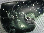 Βραχιόλι 40.000 ετών στη Σιβηρία