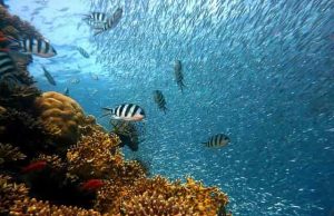 Η Βυθισμένη Yonaguni είναι Ελληνική Πόλη χιλιάδων ετών