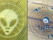 Αγρογλυφικά Αναστατώνουν με Μήνυμα στα Ελληνικά