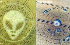 Αγρογλυφικά Αναστατώνουν με Μήνυμα στα Ελληνικά