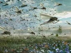 Η Σαντορίνη «Έστειλε» τις 10 Πληγές του Φαραώ, όχι ο Θεός, με βάση νέες έρευνες