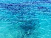 Η Ζωή Ξεκίνησε Μεταξύ Κρήτης και Κύπρου