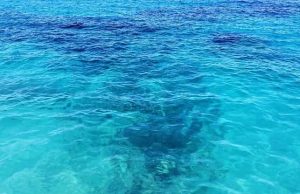 Η Ζωή Ξεκίνησε Μεταξύ Κρήτης και Κύπρου