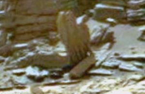 Τοιχογραφία στον Άρη που «μυρίζει» Ελλάδα, μοιάζει εύρημα στον κρατήρα Gale