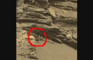 Βρέθηκε Είδος Φυτού στον Άρη; Φωτογραφία NASA