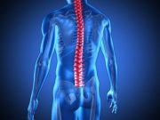 Σπονδυλική στήλη: Ένας «δίαυλος» επικοινωνίας. Το μήνυμα του κάθε σπονδύλου για την ζωή μας Σπονδυλική στήλη