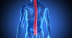 Σπονδυλική στήλη: Ένας «δίαυλος» επικοινωνίας. Το μήνυμα του κάθε σπονδύλου για την ζωή μας Σπονδυλική στήλη