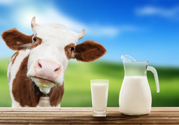Η διαμάχη του γάλακτος - Ευλογία ή δηλητήριο;