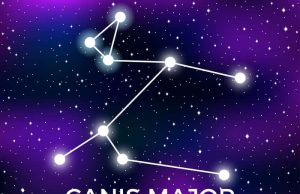 Μα τον Κύνα (Σείριο). Γιατί ορκίζεται εκεί ο Σωκράτης αστερισμός του Μεγάλου Κύνα