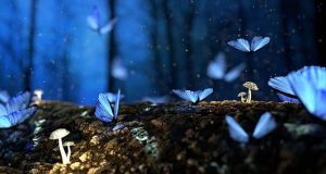 Που Πηγαίνει η Ψυχή μας Όταν Ονειρευόμαστε. Τι λένε οι Ιθαγενείς Ινδιάνοι της Αμερικής