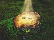 Τα Λάθη που «Εξαφάνισαν» την Αλήθεια: Έλληνες Ανακάλυψαν την Αμερική